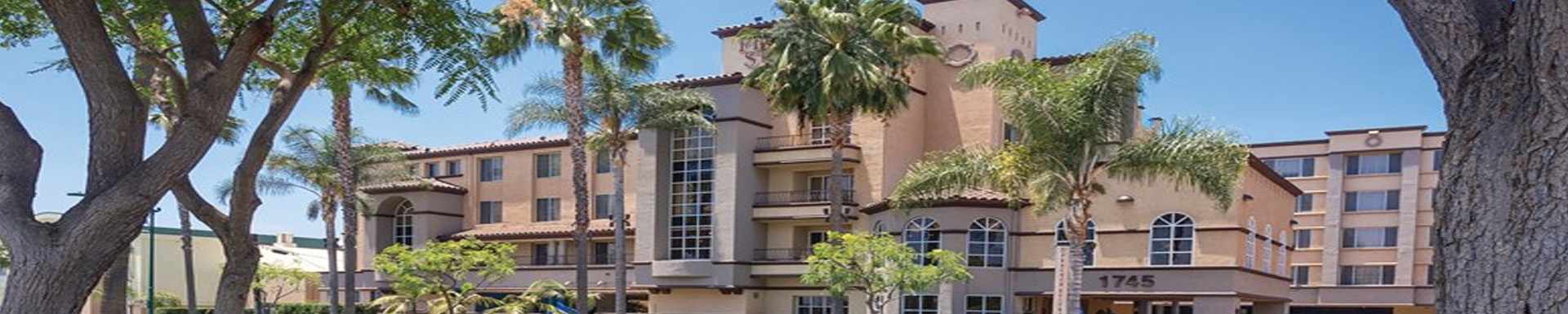 Peacock Suites
